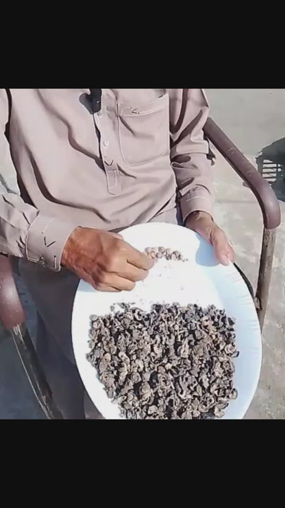 Rahaat e Maida